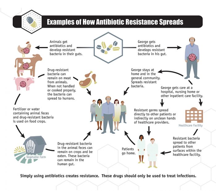 AntibioticResistant UTIs are on the Rise Here's What You Should Know