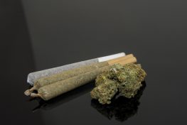 DEA Drops Marijuana Myths from its Website Following Legal Challenge