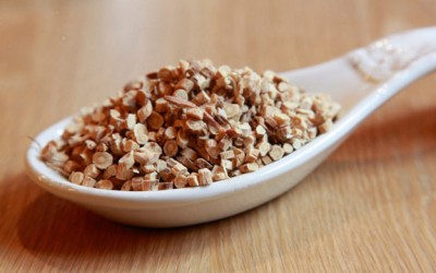 astragalus