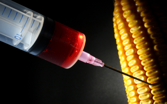 Monsanto Investor Bill Gates Says GMO Crops Needed to Fight Starvation