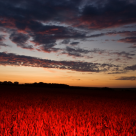 Carcinogenic Dioxin Set Free: EPA Kneels to Monsanto and Big Agriculture Carcinogenic Dioxin Set Free: EPA Kneels to Monsanto and Big Agriculture