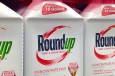 Global Ban on Glyphosate Called for by Portuguese Medical Association President