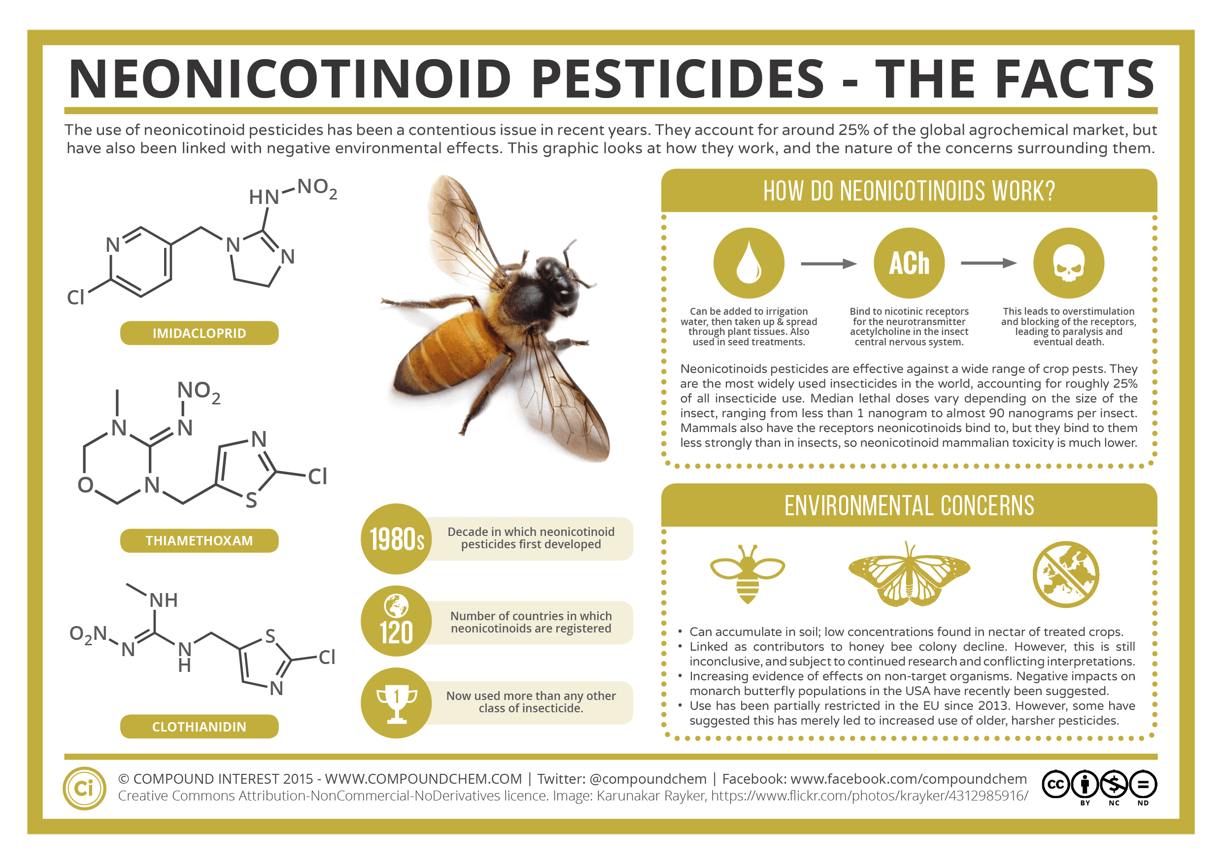 are insecticides and pesticides the same thing