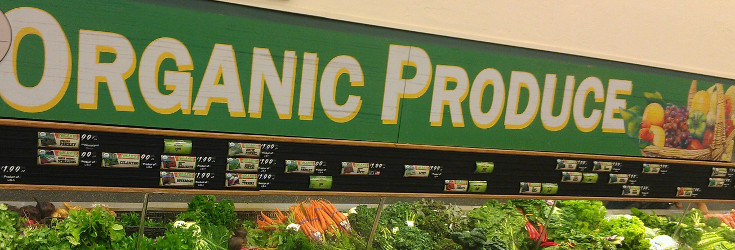 Organic-Produce-in-Grocery-735_250