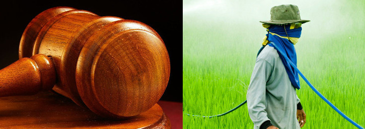 PESTICIDES-greener-court_735_260