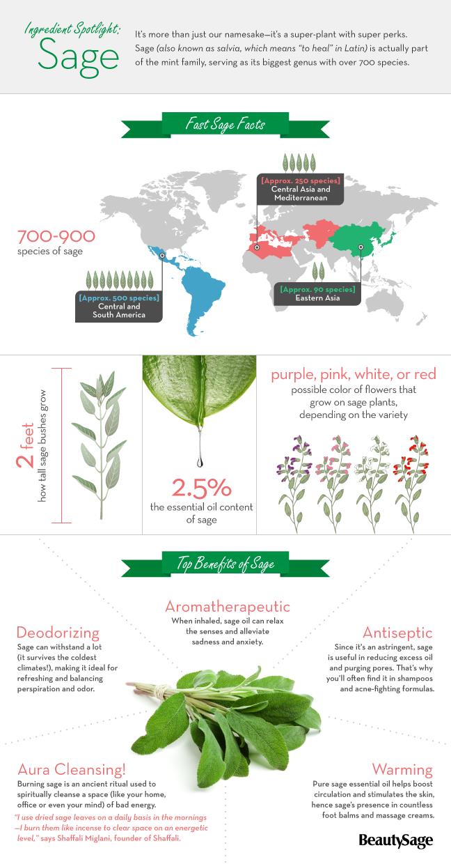 sage infographic
