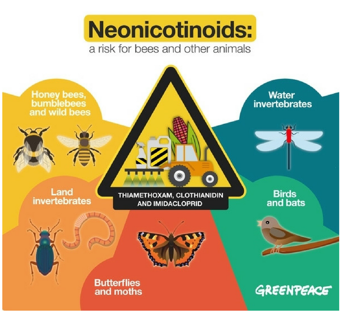 Source: Greenpeace