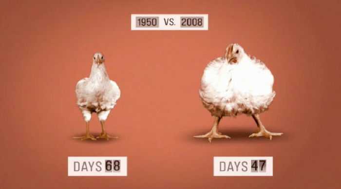 Source: Seattle Organic Restaurants
