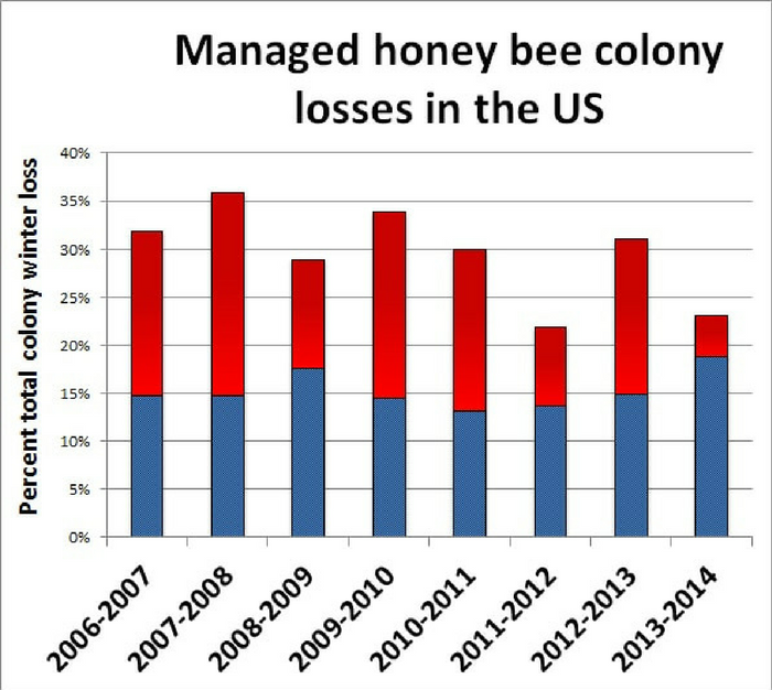 USDA Report: Bee Populations FINALLY Rising After Years Of Decline