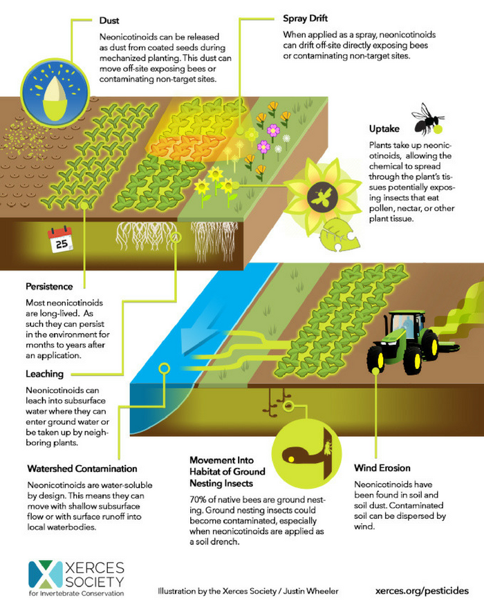 Source: The Xerces Society