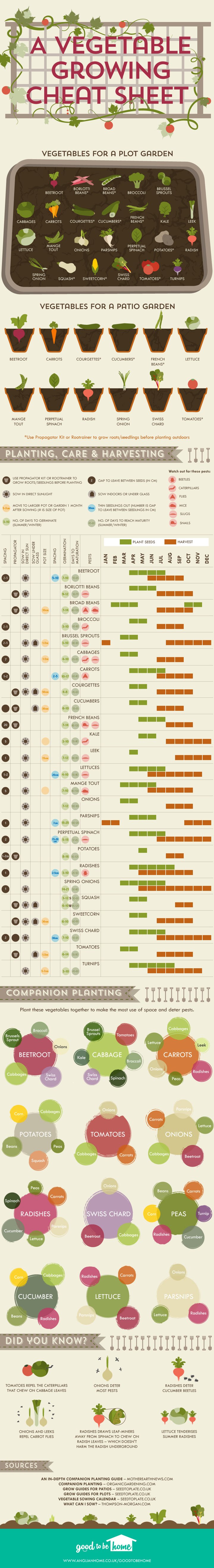 Vegetable-growing-cheat-sheet_720