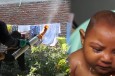 Could a 'Monsanto Insecticide' be Causing Microcephaly in Babies?