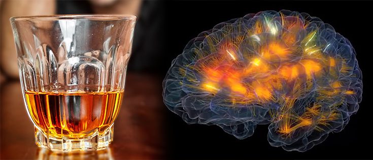 alcoholism and the brain