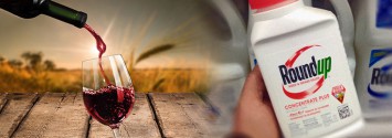 wine Roundup
