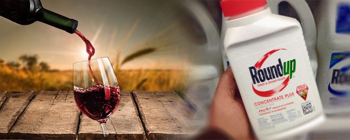 wine Roundup