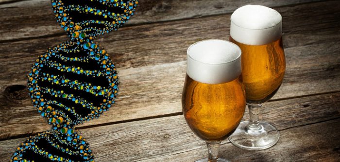 beer dna