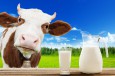 Research Highlights Key Benefits of Choosing Organic Meat, Milk