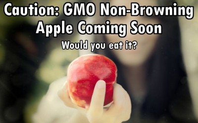 gmo apple