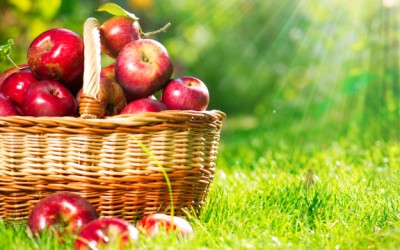 basket of apples