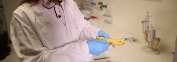 VIDEO: This is How Banana Peels Could Help Detect Cancer Non-Invasively