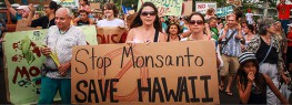 article-monsanto-protest-hawaii-gmo-735-265