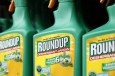 France Says “Glyphosate Could Be Carcinogenic to Humans”