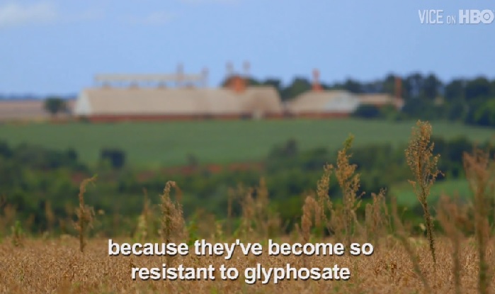 article-vice-farmer-weeds-2