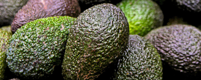 avoaco-food-680