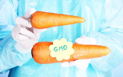 avoiding gmos