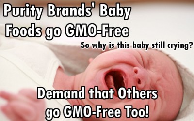 baby food GMO