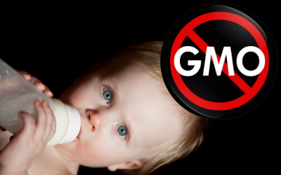 gmo baby formula