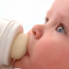 BPA Leads to Fertility Defect in Offspring BPA Leads to Fertility Defect in Offspring