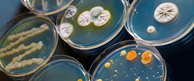 World Leaders Meet To Finally Address Antibiotic Resistance Crisis