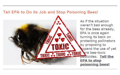 bee pesticides