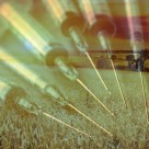‘Biofarms’ to Integrate Vaccines, Pharmaceuticals into GMO ‘Biopharmaceutical’ Crops ‘Biofarms’ to Integrate Vaccines, Pharmaceuticals into GMO ‘Biopharmaceutical’ Crops