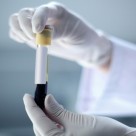 Genetically Modified HIV Vaccine Approved – Human Tests to Begin Shortly Genetically Modified HIV Vaccine Approved – Human Tests to Begin Shortly