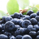 7 Natural Brain Foods for Cognition and Concentration 7 Natural Brain Foods for Cognition and Concentration