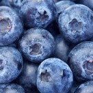 Find Cancer Prevention with the Power of Blueberries