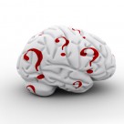 IQ Foods: Processed Food Lowers IQ in Children, Nutritious Food Raises It IQ Foods: Processed Food Lowers IQ in Children, Nutritious Food Raises It