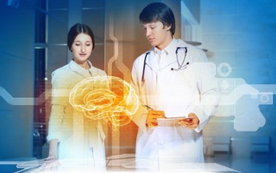 brain scientists