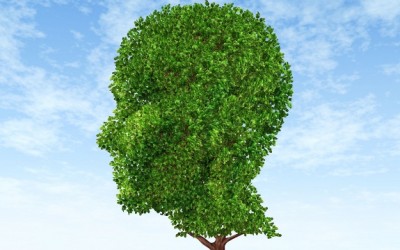 brain tree