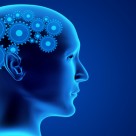 Poor Health in Midlife Leads to Brain Shrinkage Poor Health in Midlife Leads to Brain Shrinkage
