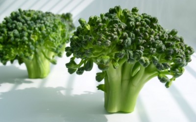 broccoli pieces