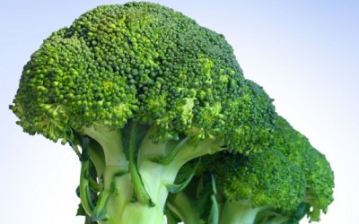broccoli stems
