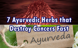 májbetegség Ayurveda szempontjából