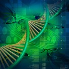 Exposed: Deadly Cancer Drugs Make Cancer Worse and Kill Patients More Quickly Exposed: Deadly Cancer Drugs Make Cancer Worse and Kill Patients More Quickly