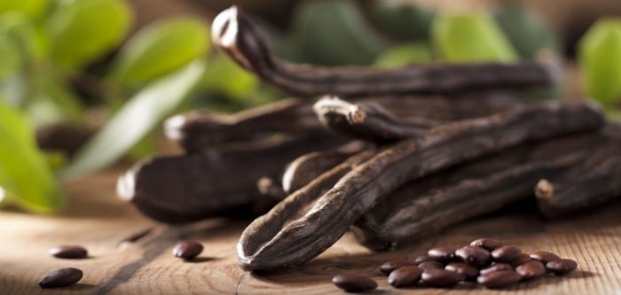 carob tree