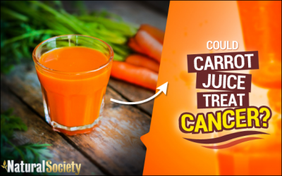 carrot juice