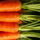 Beta-Carotene Benefits: From Improving Vision to Boosting Brain Power Beta-Carotene Benefits: From Improving Vision to Boosting Brain Power