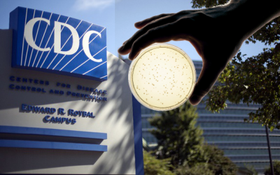 cdc anthrax